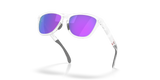 Oakley Frogskins Range XL Glasses-5