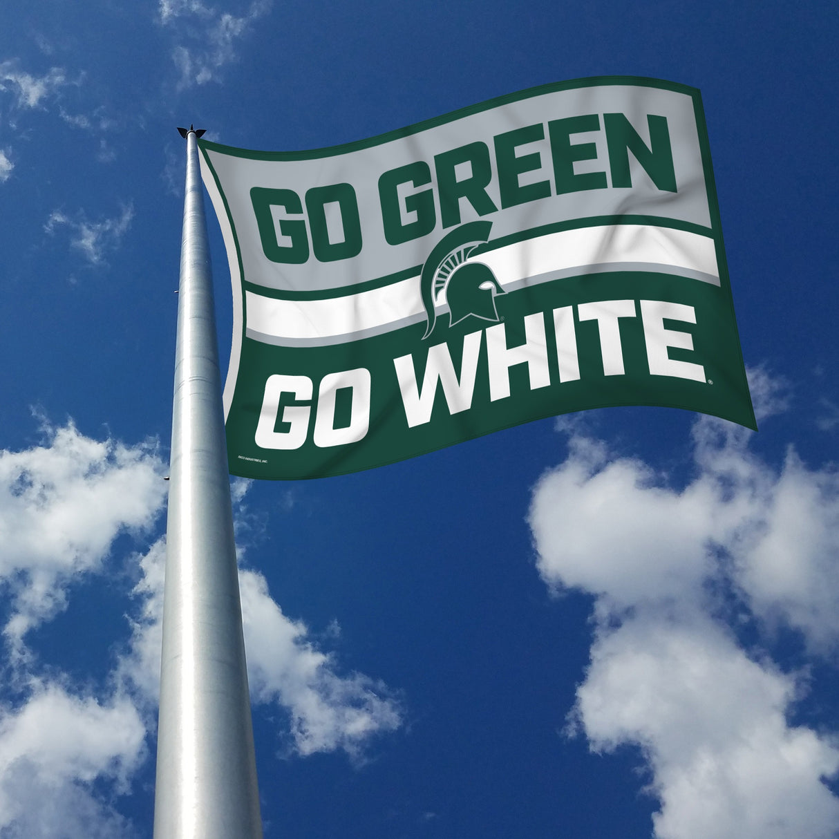Rico Industries NCAA Michigan State Spartans Bold 3' x 5' Banner Flag-2