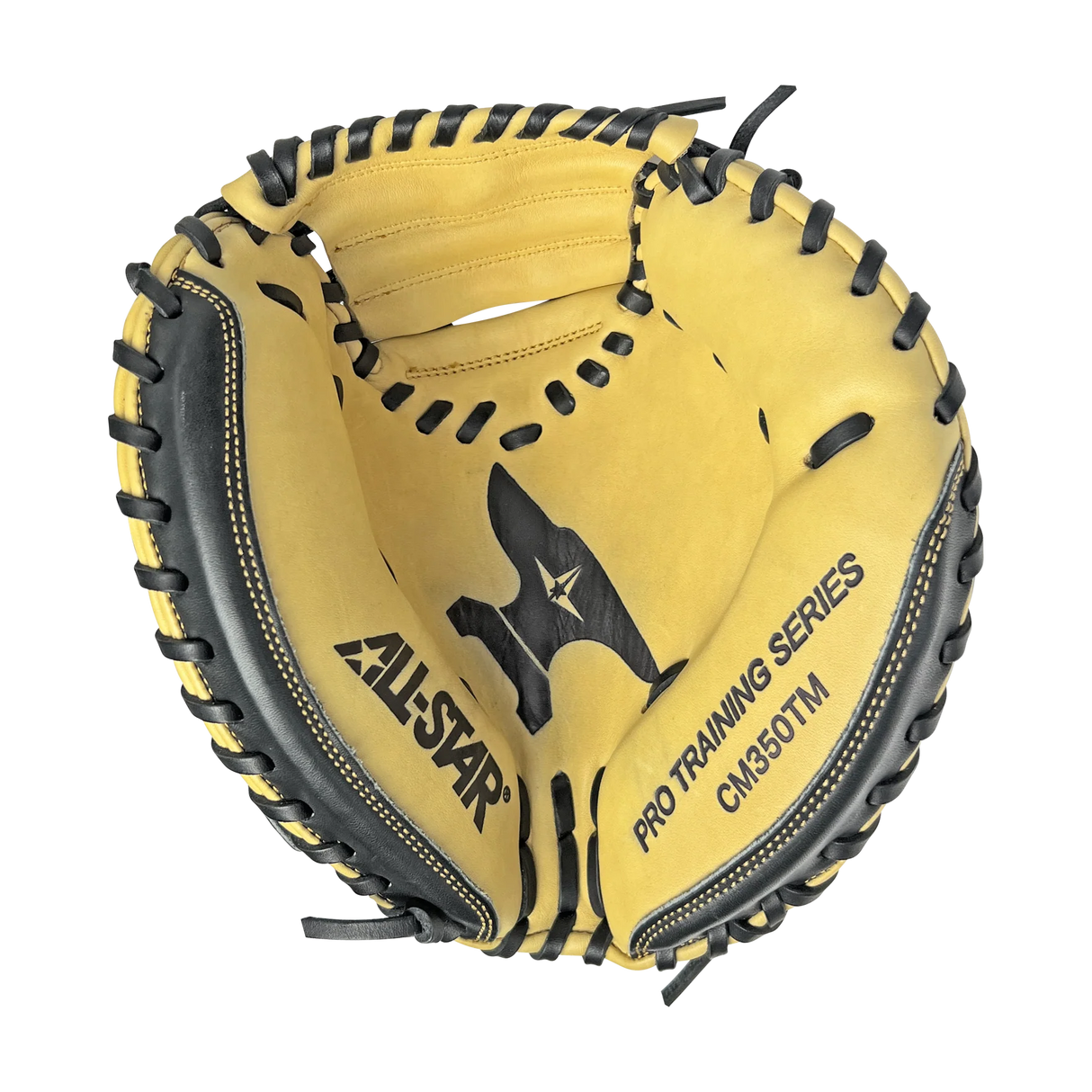 All Star Mini Anvil 29" Training Mitt-4