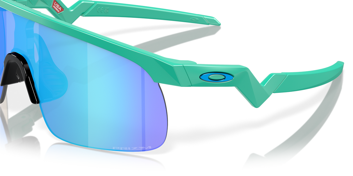 Oakley Resistor Sunglasses-6