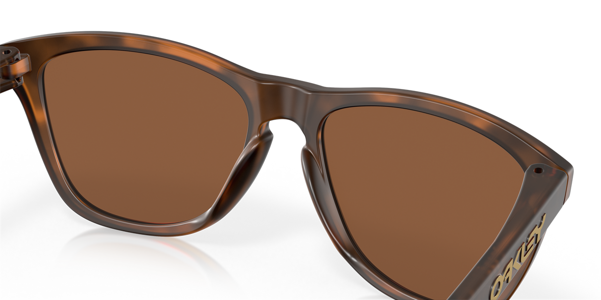 Oakley Frogskins Glasses-11