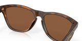 Oakley Frogskins Glasses-11