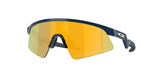 Oakley Resistor Sweep Sunglasses-1