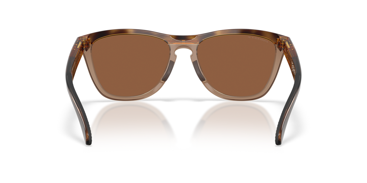 Oakley Frogskins Range XL Glasses-4