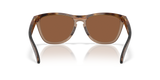 Oakley Frogskins Range XL Glasses-4