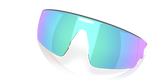 Oakley Vanguard Replacement Lenses