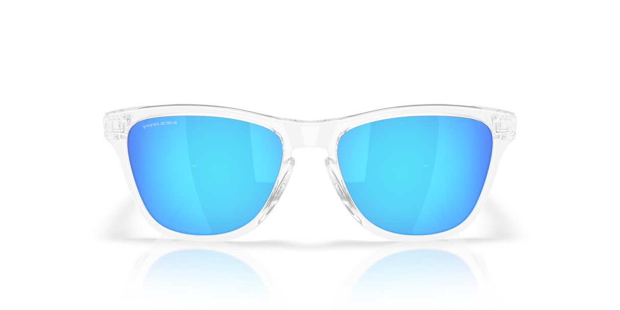 Oakley Frogskins S Glasses-8