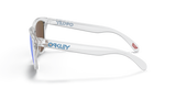 Oakley Frogskins A Glasses-5