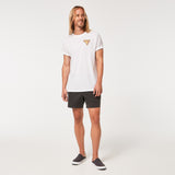 Oakley Men's Robinson RC 16" Beach Shorts-9