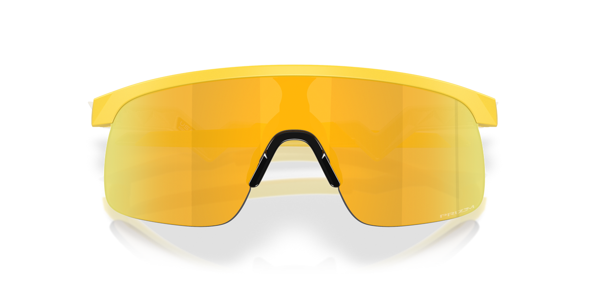 Oakley Resistor Sunglasses-9