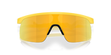 Oakley Resistor Sunglasses-9