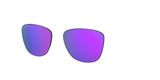 Oakley Frogskins Replacement Lenses