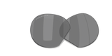 Oakley HSTN Replacement Lenses