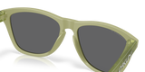 Oakley Frogskins Glasses-7