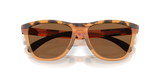 Oakley Frogskins Range XL A Glasses-9