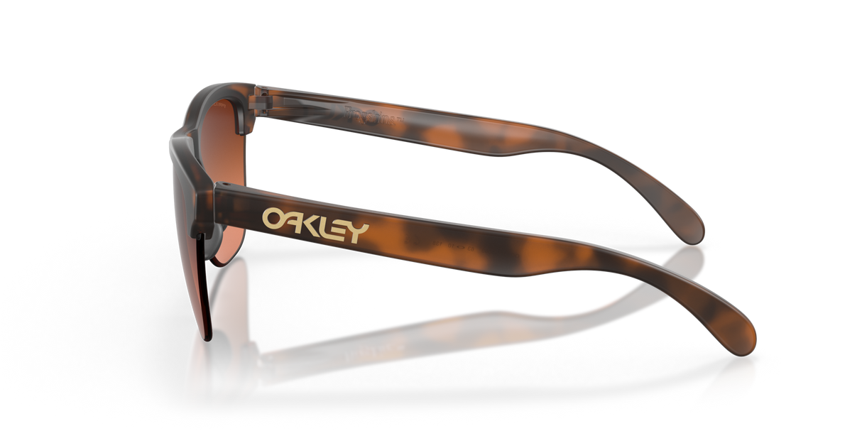 Oakley Frogskins Lite Glasses-5