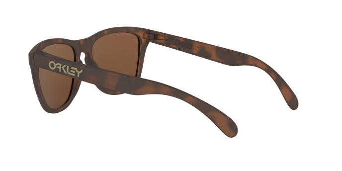 Oakley Frogskins Glasses-12
