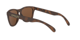 Oakley Frogskins Glasses-12