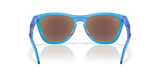 Oakley Frogskins Hybrid Glasses-4