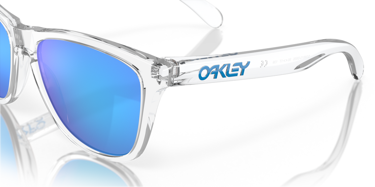 Oakley Frogskins Glasses-10