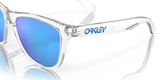 Oakley Frogskins Glasses-10