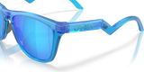Oakley Frogskins Hybrid Glasses-6
