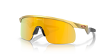 Oakley Resistor NFL Sunglasses-2