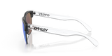 Oakley Frogskins Lite Glasses-5