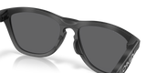 Oakley Frogskins Range XL A Glasses-7