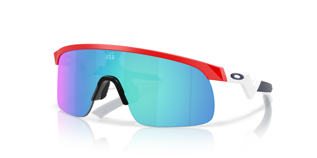 Oakley Resistor Sunglasses-2
