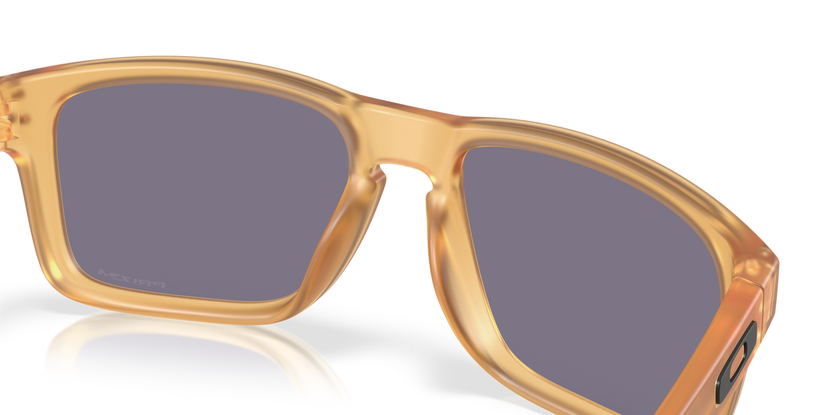 Oakley Holbrook Glasses-7