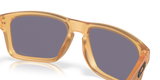 Oakley Holbrook Glasses-7