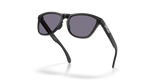 Oakley Frogskins Range XL Glasses-5