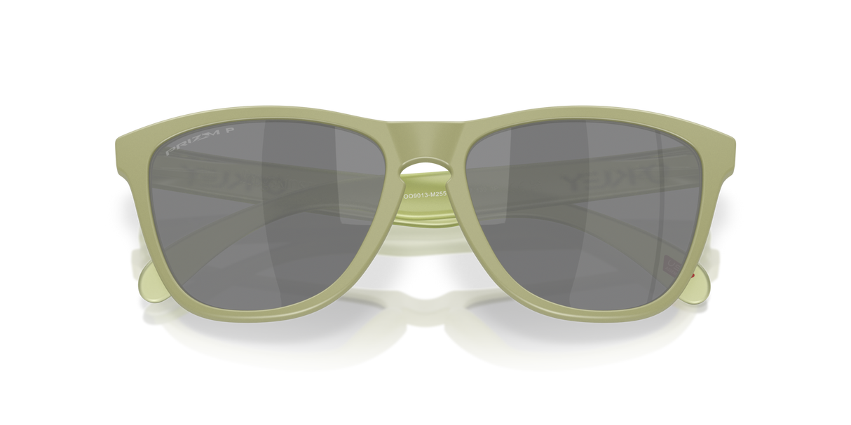 Oakley Frogskins Glasses-9