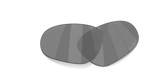 Oakley Neoforma Replacement Lenses