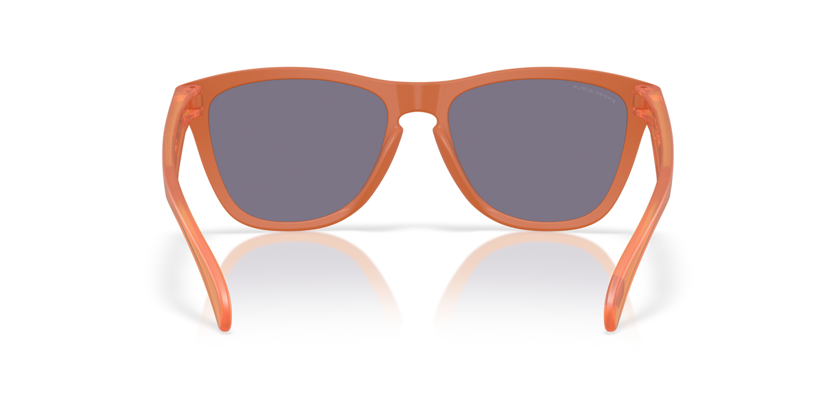 Oakley Frogskins Glasses-4