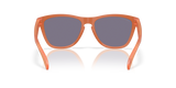 Oakley Frogskins Glasses-4
