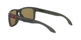 Oakley Holbrook A Glasses-12