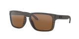 Oakley Holbrook XL Glasses-4