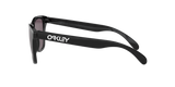 Oakley Frogskins A Glasses-8