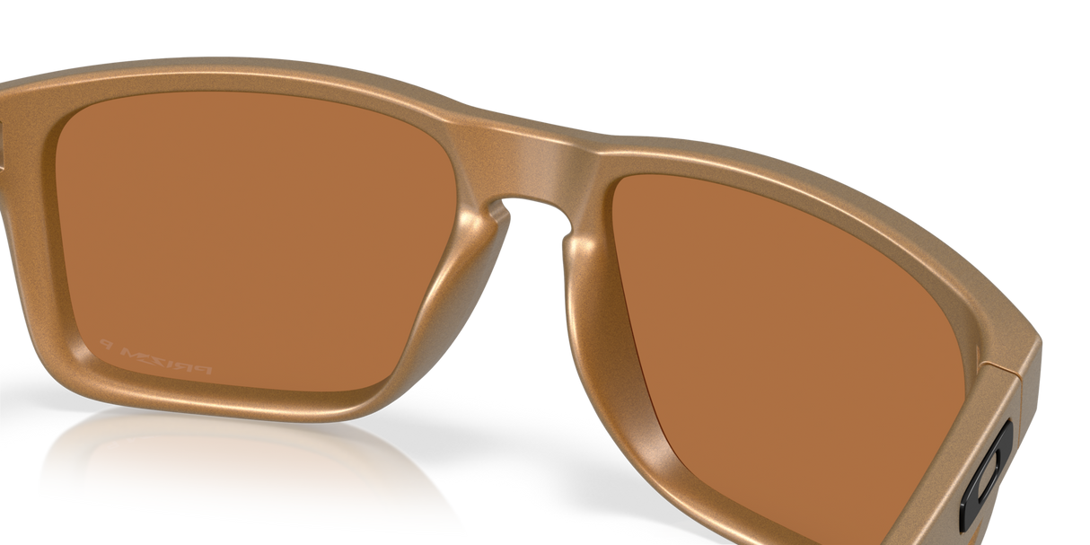 Oakley Holbrook XL Glasses-7