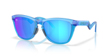 Oakley Frogskins Hybrid Glasses-2