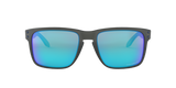 Oakley Holbrook XL Glasses-2