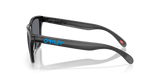 Oakley Frogskins Glasses-3