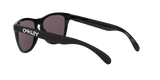 Oakley Frogskins A Glasses-10