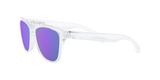 Oakley Frogskins Glasses-6