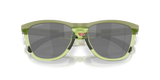 Oakley Frogskins Range XL Glasses-9
