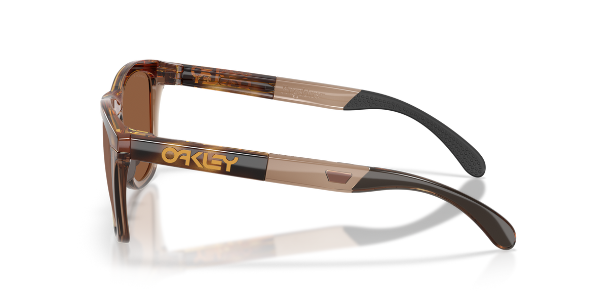 Oakley Frogskins Range XL A Glasses-3