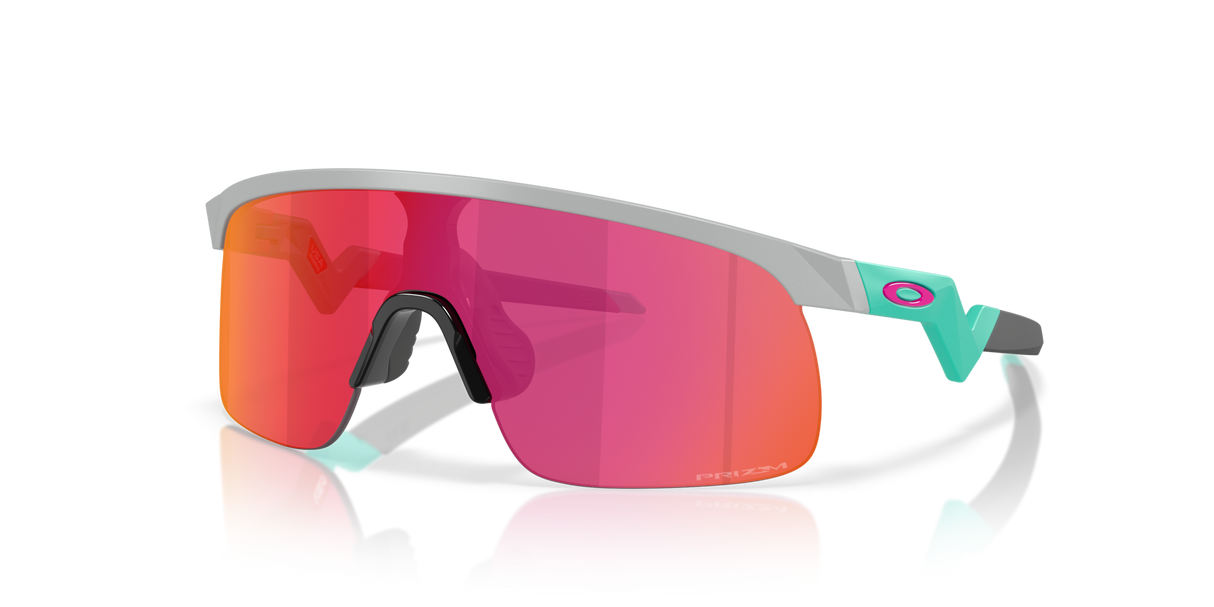 Oakley Resistor Sunglasses-2