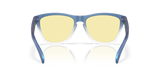 Oakley Frogskins Glasses-4